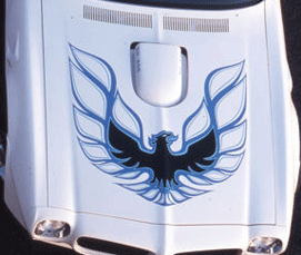1973TransAm_Bird_Blau-2